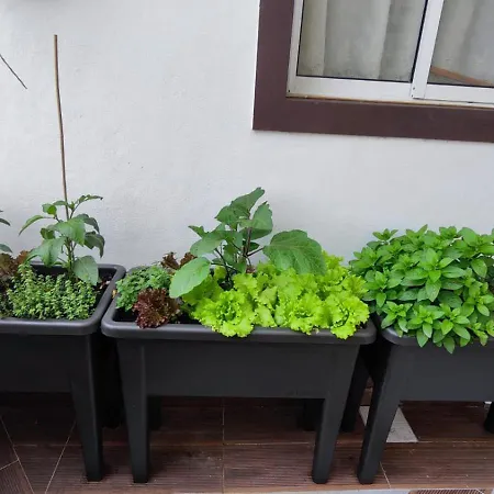 Casa vacanze Comboio