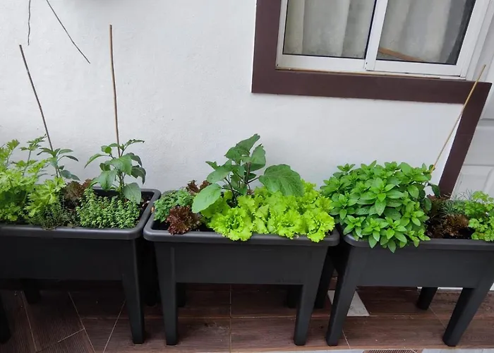 Casa vacanze Comboio